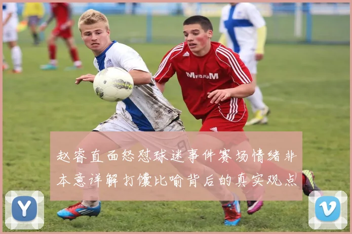赵睿直面怒怼球迷事件赛场情绪非本意详解打馕比喻背后的真实观点